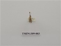 藏品(尺蠖蛾科)的圖片